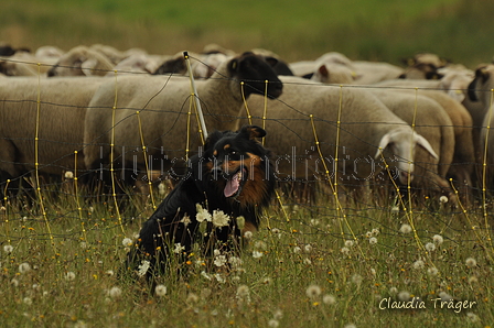 AAH Freundschaftshüten / Bild 49 von 88 / 28.07.2019 12:03 / DSC_7113.JPG