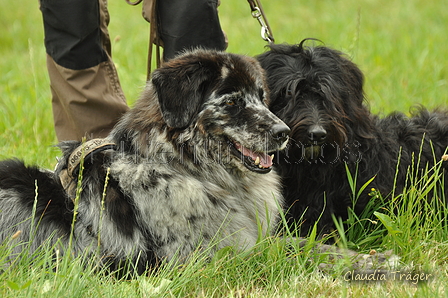 AAH Freundschaftshüten / Bild 50 von 88 / 28.07.2019 12:16 / DSC_7174.JPG