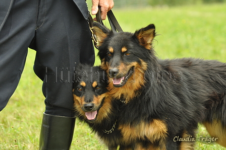 AAH Freundschaftshüten / Bild 51 von 88 / 28.07.2019 12:16 / DSC_7175.JPG