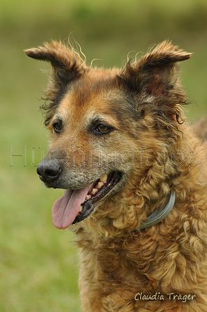 AAH Freundschaftshüten / Bild 52 von 88 / 28.07.2019 12:19 / DSC_7217.JPG