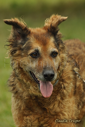 AAH Freundschaftshüten / Bild 54 von 88 / 28.07.2019 12:19 / DSC_7221.JPG