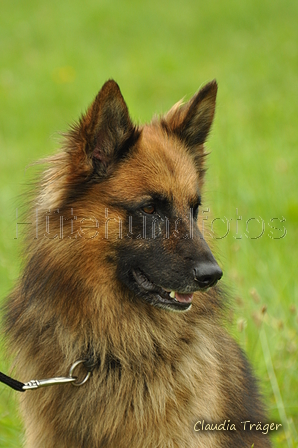 AAH Freundschaftshüten / Bild 60 von 88 / 28.07.2019 12:24 / DSC_7326.JPG