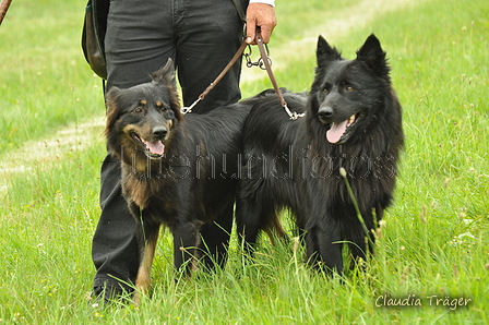 AAH Freundschaftshüten / Bild 61 von 88 / 28.07.2019 12:25 / DSC_7347.JPG