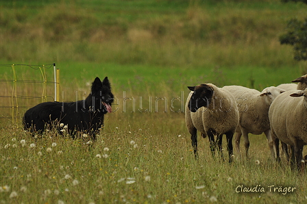 AAH Freundschaftshüten / Bild 70 von 88 / 28.07.2019 13:10 / DSC_7506.JPG