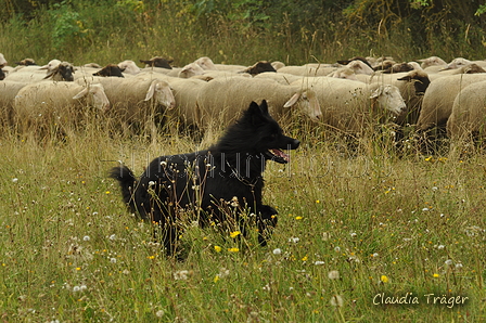 AAH Freundschaftshüten / Bild 71 von 88 / 28.07.2019 13:10 / DSC_7515.JPG