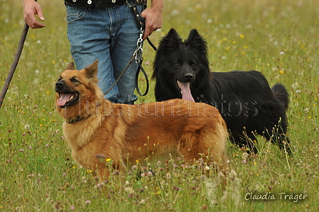 AAH Freundschaftshüten / Bild 74 von 88 / 28.07.2019 13:47 / DSC_7918.JPG