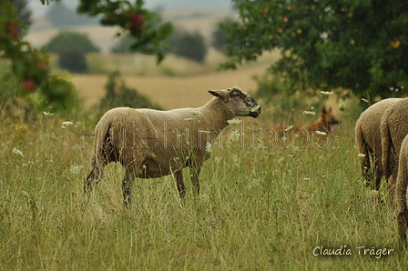 AAH Freundschaftshüten / Bild 76 von 88 / 28.07.2019 14:15 / DSC_8175.JPG