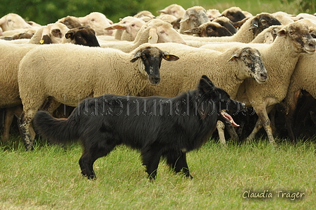 AAH Freundschaftshüten / Bild 79 von 88 / 28.07.2019 14:22 / DSC_8314.JPG