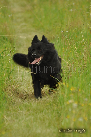 AAH Freundschaftshüten / Bild 82 von 88 / 28.07.2019 14:24 / DSC_8397.JPG