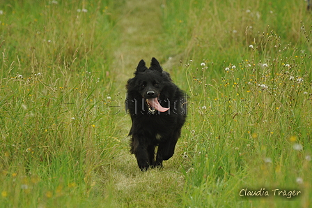 AAH Freundschaftshüten / Bild 83 von 88 / 28.07.2019 14:26 / DSC_8467.JPG