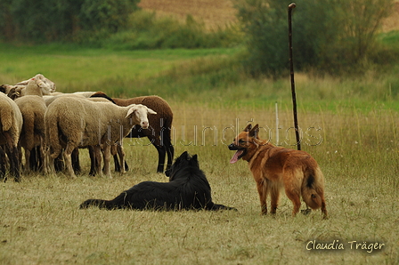 AAH Freundschaftshüten / Bild 87 von 88 / 28.07.2019 14:36 / DSC_8686.JPG