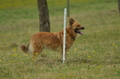 Vorschau von Bild 42 von 88