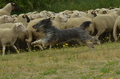 Vorschau von Bild 74 von 88