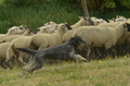 Vorschau von Bild 75 von 88