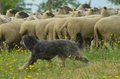 Vorschau von Bild 84 von 88