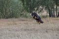 AAH Niedersachsen Landeshüten 2014 / Bild 61 von 83 / 24.08.2014 14:43 / DSC_7733.JPG