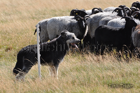 AAH Niedersachsen Landeshüten 2014 / Bild 66 von 83 / 24.08.2014 15:58 / DSC_8053.JPG