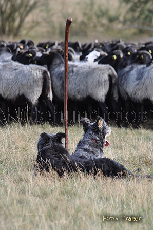 AAH Niedersachsen Landeshüten 2014 / Bild 79 von 83 / 24.08.2014 16:26 / DSC_8776.JPG