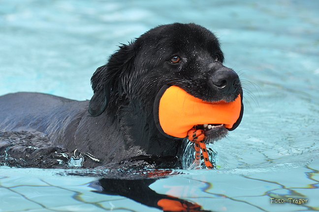 Freibad Lindhorst / Bild 2 von 31 / 18.09.2015 15:12 / DSC_1840.JPG