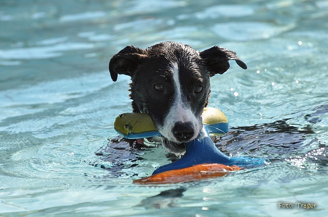 Freibad Lindhorst / Bild 5 von 31 / 18.09.2015 15:34 / DSC_2093.JPG