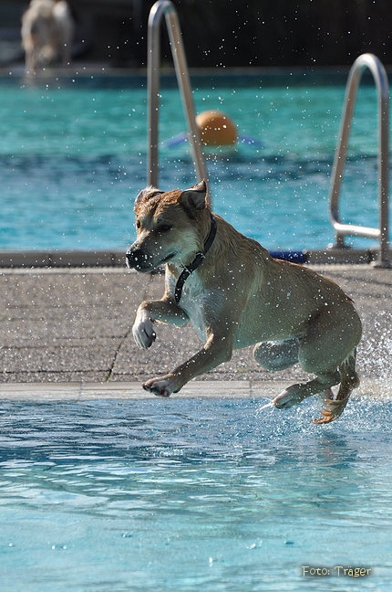 Freibad Lindhorst / Bild 8 von 31 / 18.09.2015 15:43 / DSC_2211.JPG