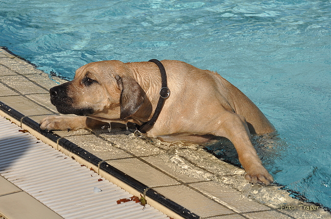 Freibad Lindhorst / Bild 12 von 31 / 18.09.2015 15:48 / DSC_2255.JPG