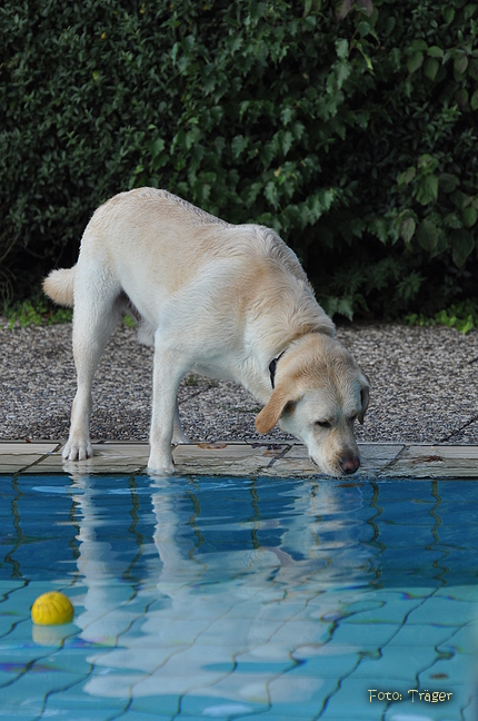 Freibad Lindhorst / Bild 13 von 31 / 18.09.2015 16:04 / DSC_2408.JPG