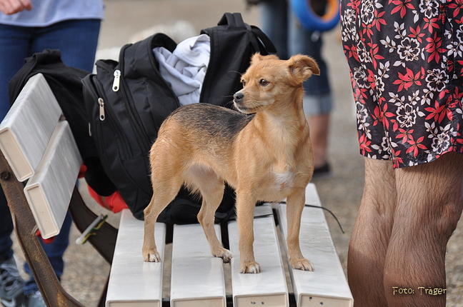 Freibad Lindhorst / Bild 15 von 31 / 18.09.2015 16:33 / DSC_2496.JPG