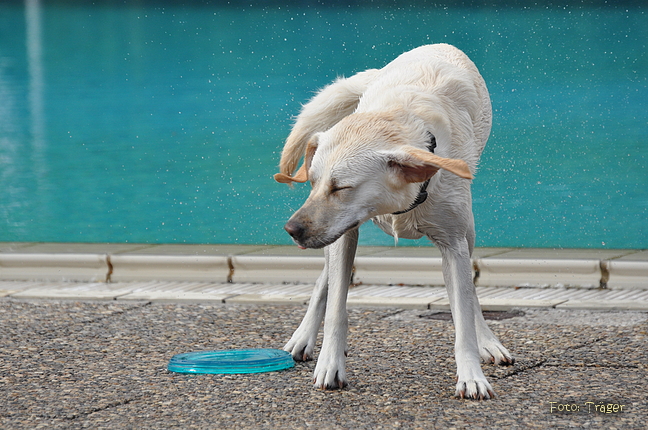 Freibad Lindhorst / Bild 16 von 31 / 18.09.2015 16:33 / DSC_2499.JPG