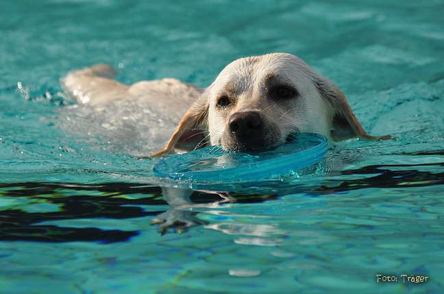 Freibad Lindhorst / Bild 20 von 31 / 18.09.2015 16:36 / DSC_2540.JPG