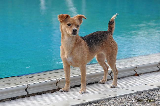 Freibad Lindhorst / Bild 24 von 31 / 18.09.2015 16:42 / DSC_2628.JPG