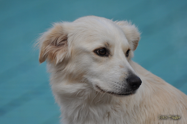 Freibad Lindhorst / Bild 27 von 31 / 18.09.2015 16:46 / DSC_2642.JPG