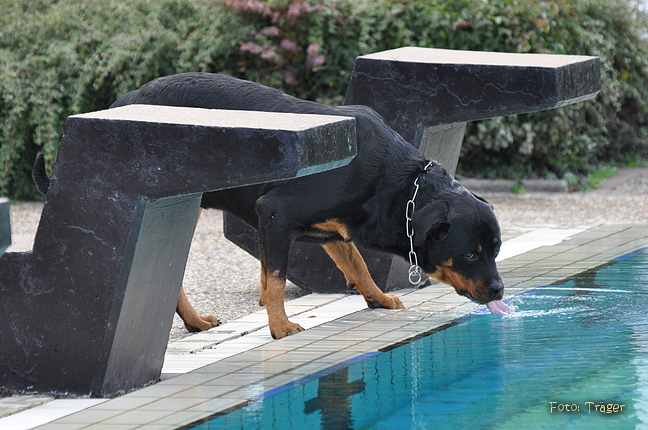 Freibad Lindhorst / Bild 29 von 31 / 18.09.2015 16:46 / DSC_2654.JPG