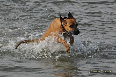 Hundestrand / Bild 24 von 376 / 19.09.2016 16:04 / DSC_8351.JPG