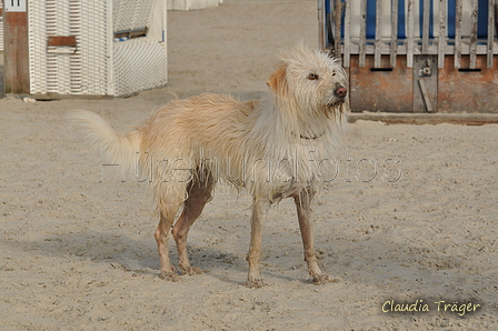 Hundestrand / Bild 27 von 376 / 19.09.2016 16:06 / DSC_8379.JPG