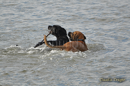 Hundestrand / Bild 35 von 376 / 19.09.2016 16:14 / DSC_8520.JPG