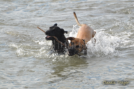 Hundestrand / Bild 38 von 376 / 19.09.2016 16:14 / DSC_8524.JPG