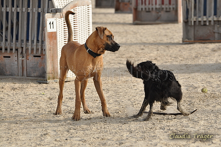 Hundestrand / Bild 41 von 376 / 19.09.2016 16:14 / DSC_8556.JPG