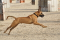 Hundestrand / Bild 47 von 376 / 19.09.2016 16:17 / DSC_8596.JPG