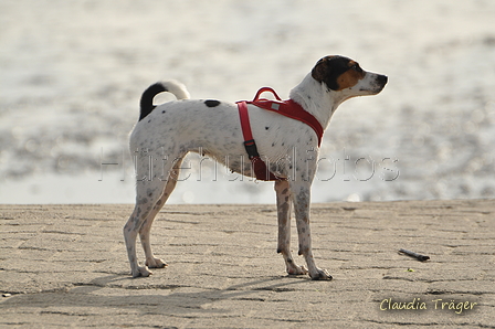 Hundestrand / Bild 55 von 376 / 19.09.2016 16:26 / DSC_8769.JPG