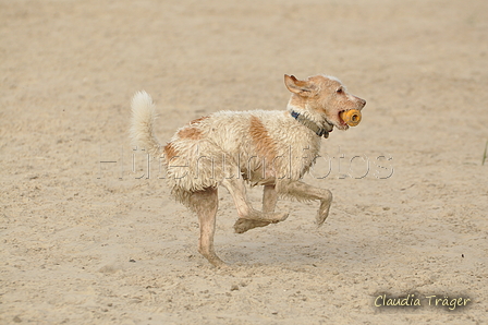 Hundestrand / Bild 70 von 376 / 19.09.2016 16:31 / DSC_8878.JPG