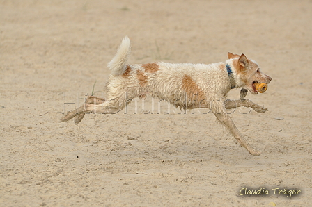 Hundestrand / Bild 71 von 376 / 19.09.2016 16:31 / DSC_8879.JPG