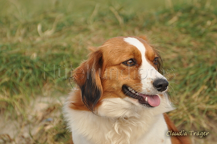 Hundestrand / Bild 73 von 376 / 19.09.2016 16:36 / DSC_8883.JPG