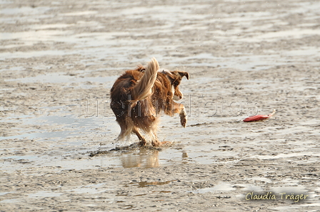 Hundestrand / Bild 81 von 376 / 19.09.2016 16:40 / DSC_8959.JPG