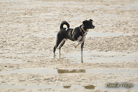 Hundestrand / Bild 82 von 376 / 19.09.2016 16:41 / DSC_8971.JPG