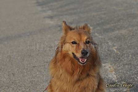 Hundestrand / Bild 86 von 376 / 19.09.2016 18:01 / DSC_9074.JPG