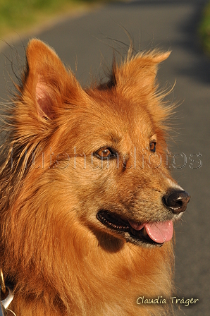 Hundestrand / Bild 88 von 376 / 19.09.2016 18:14 / DSC_9137.JPG