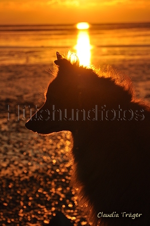 Hundestrand / Bild 91 von 376 / 19.09.2016 19:22 / DSC_9248.JPG