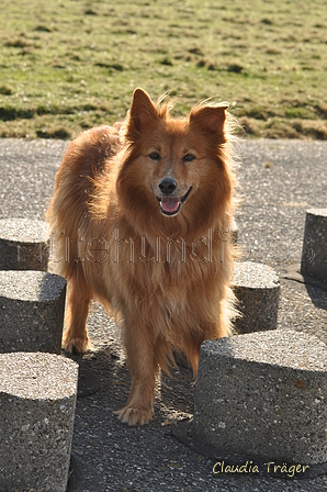 Hundestrand / Bild 94 von 376 / 20.09.2016 11:57 / DSC_9364.JPG