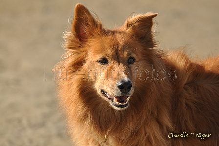 Hundestrand / Bild 95 von 376 / 20.09.2016 11:59 / DSC_9374.JPG